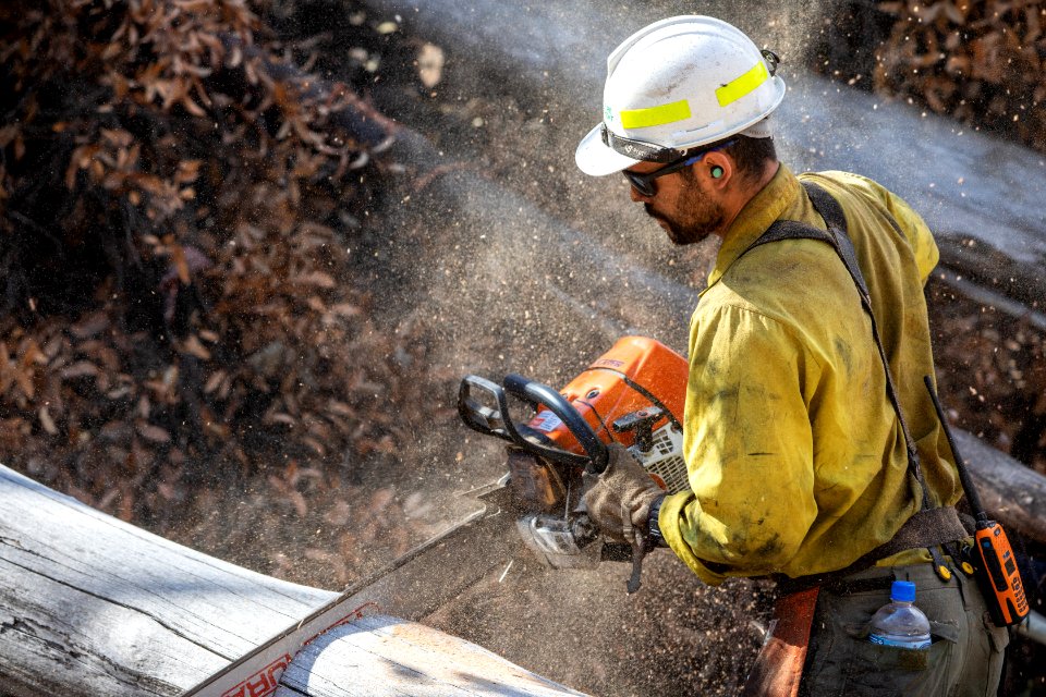 US Task Force faller cutting hazard trees