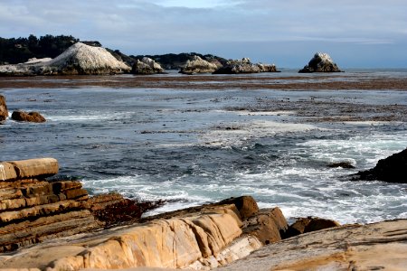 Westin Beach