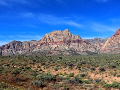 Red Rock Canyon in NV photo