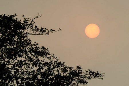 20180822-NRCS-LSC-1702