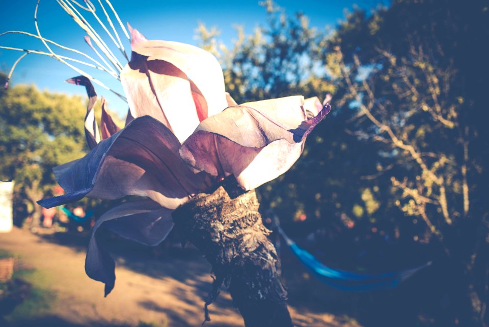 Foto by Aga Boom Festival 2016 (103 of 177)