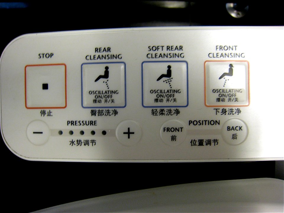 Way Too Many Toilet Options for Me