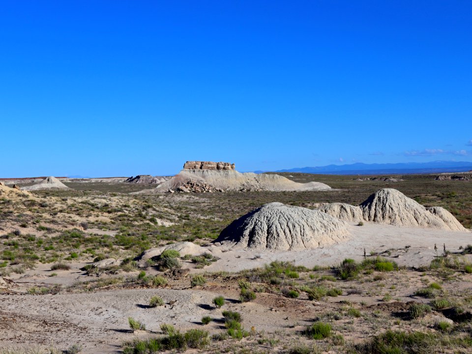 Petrified Forest NP in AZ