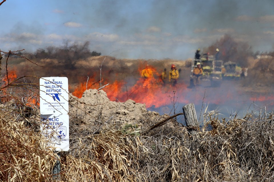 Leavitt Prescribed Fire