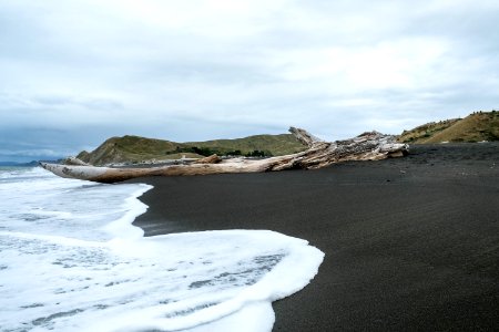 Treibholz Bei Hawke's Bay photo