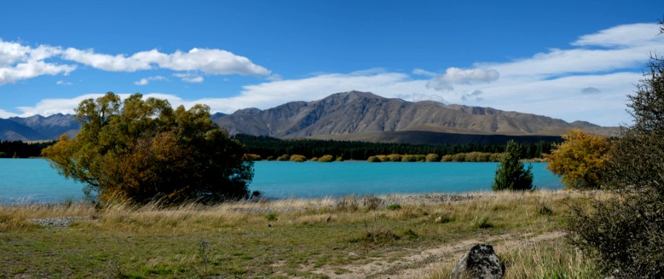 Lake Tekapo Mit Mt Dobson photo