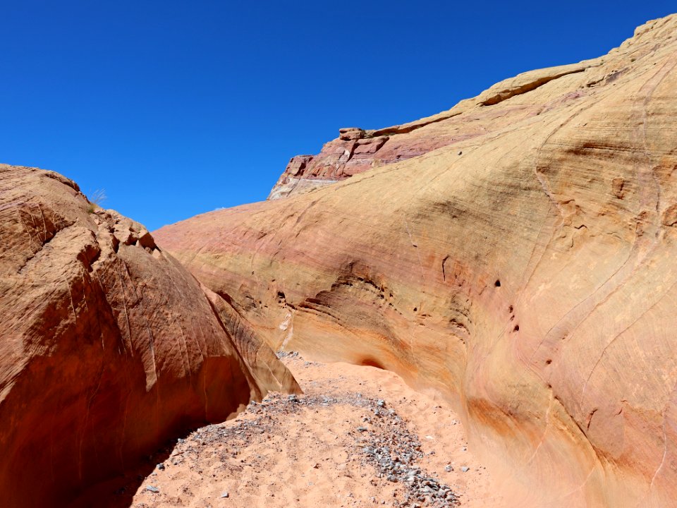 Pink Canyon at Valley Of Fire SP in NV