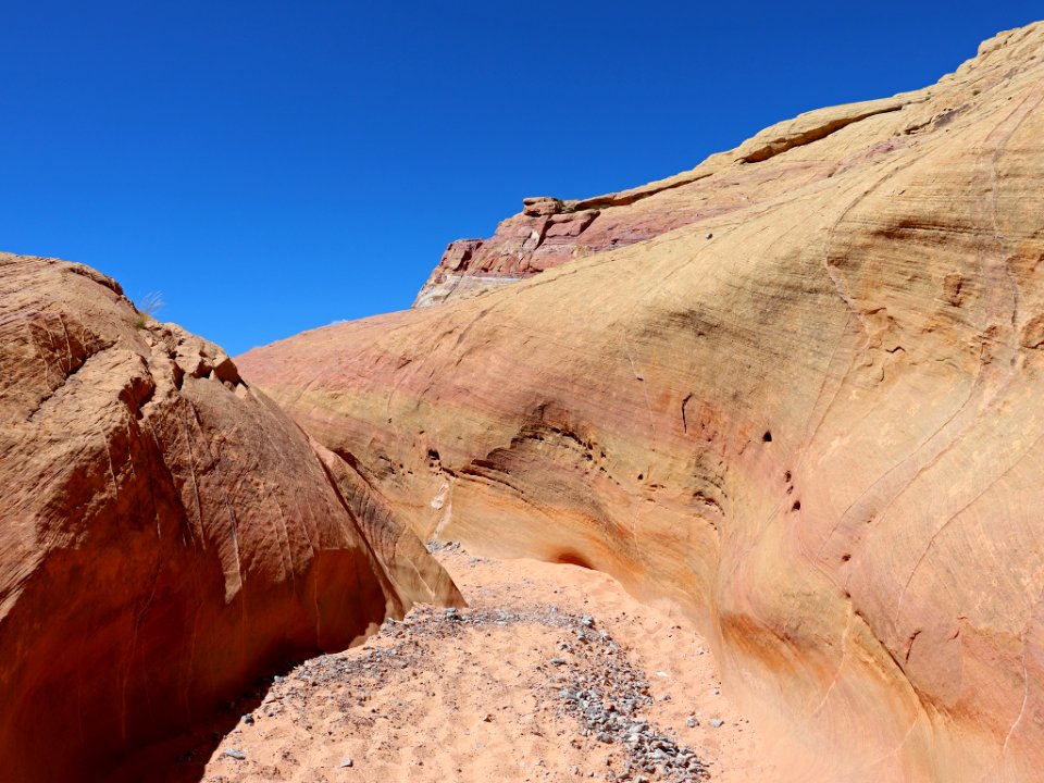 Pink Canyon at Valley Of Fire SP in NV photo