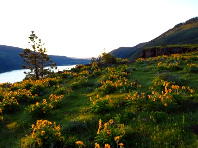 Rowena Crest in OR photo