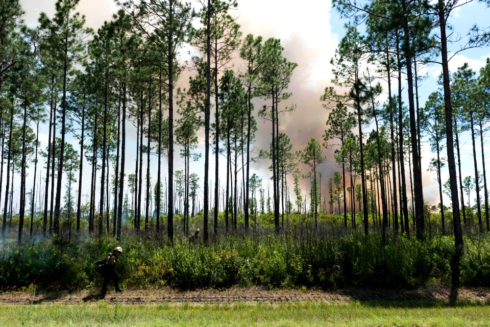 West Mims Wildfire