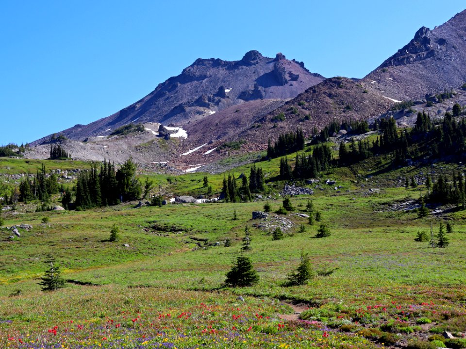 Goat Rocks Wilderness in WA