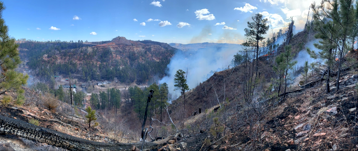 Schroeder Fire