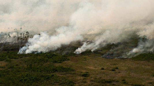 West Mims Wildfire