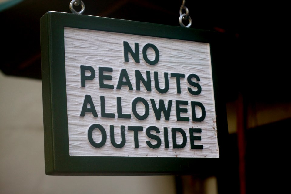 Charlie Brown, Linus, et al Stay Inside