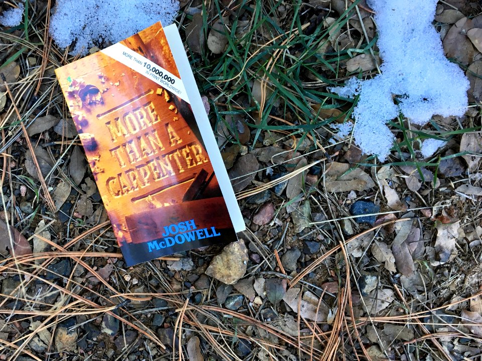 Abandoned Reading by the Side of My Dirt Road