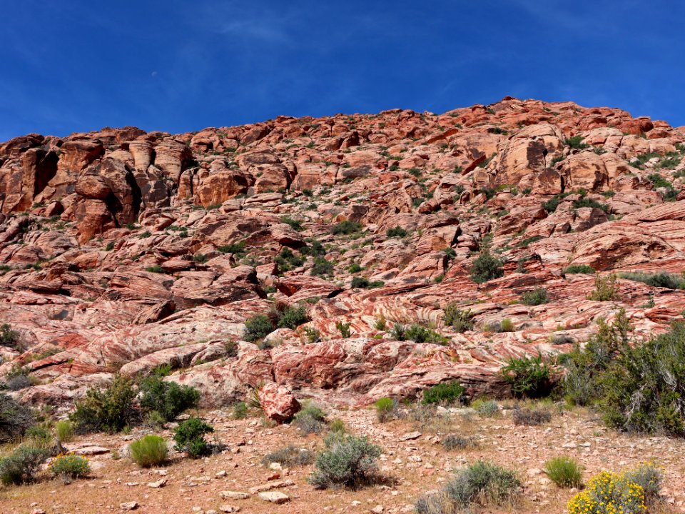 Red Rock Canyon in NV