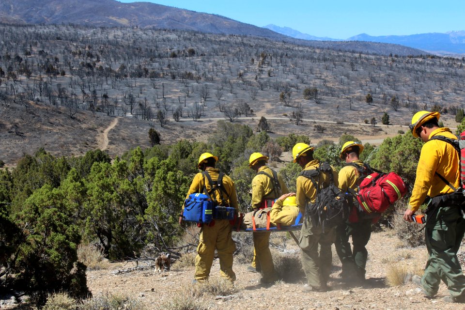 Medical Emergency Training Simulation photo