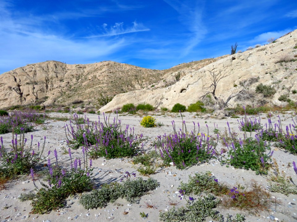 Badlands at Anza-Borrego Desert SP in CA