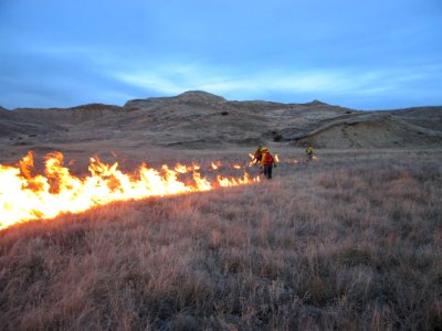 Prescribed Fire on the Refuge