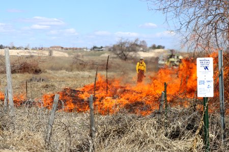 Leavitt Prescribed Fire