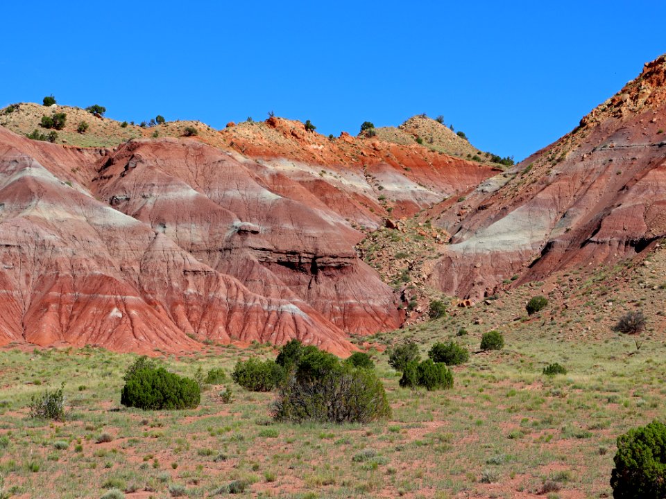 Landscape in New Mexico
