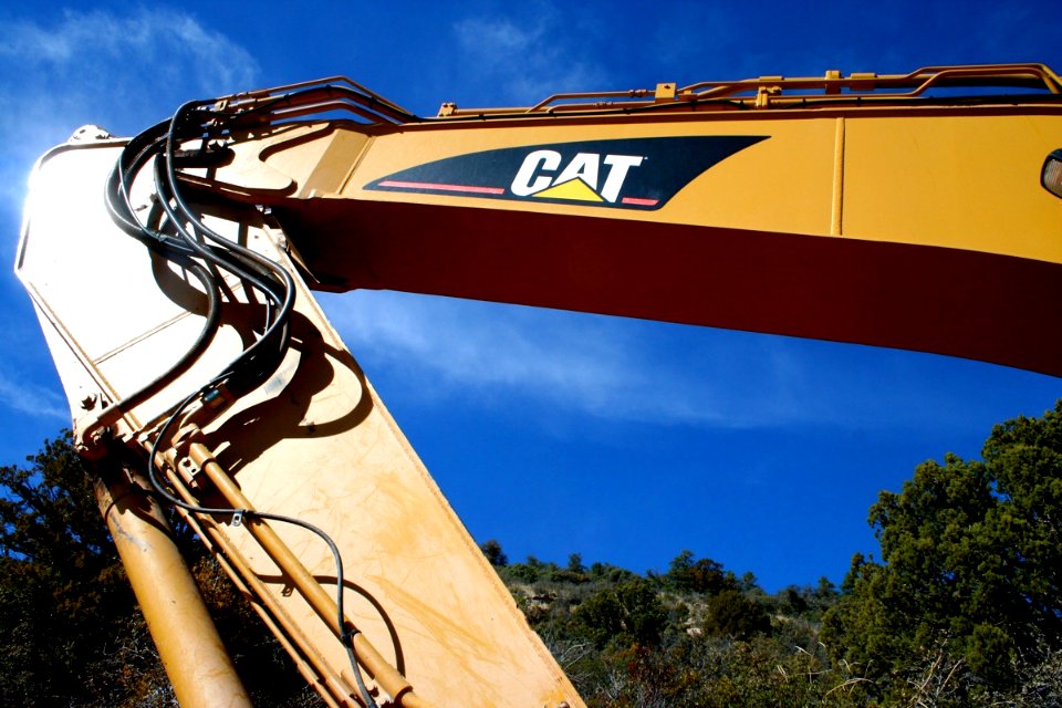 Digging Cat