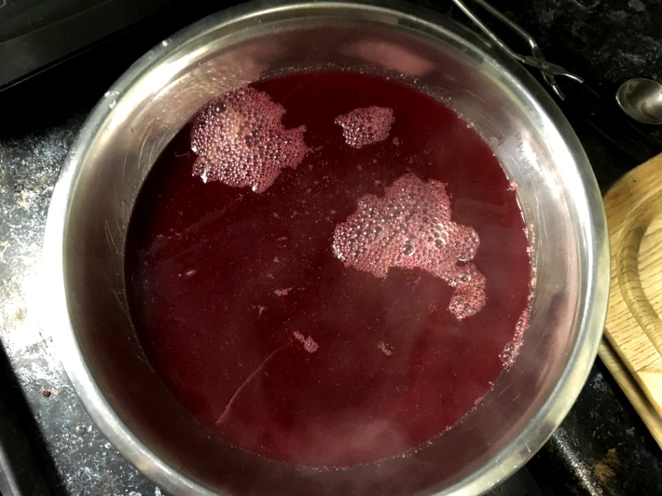 Juice Made from Prickly Pear Cactus Fruit