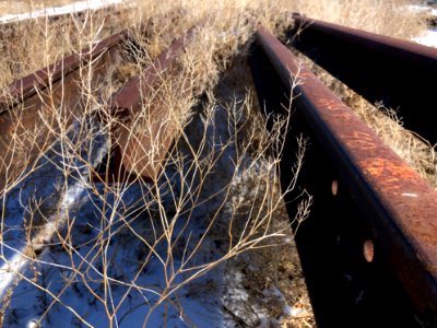 Abandoned Rails