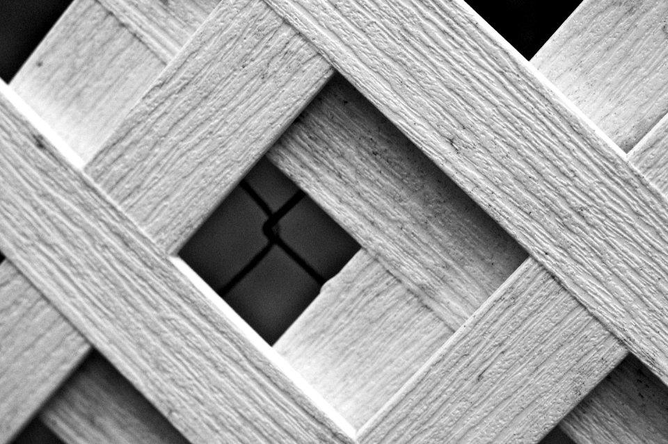 2009/365/240 Fractally Yours