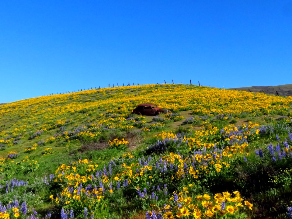 Dalles Mountain Ranch in WA