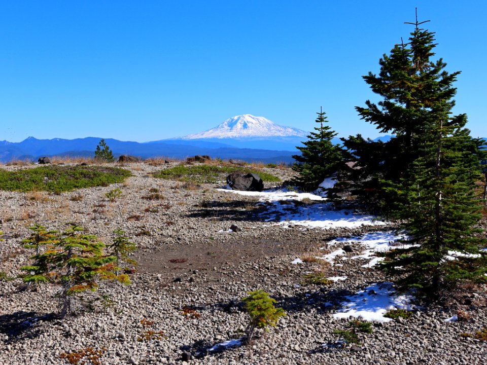Mt. Adams at Ape Canyon Trail in WA