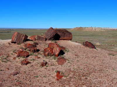 Petrified Forest NP in AZ photo