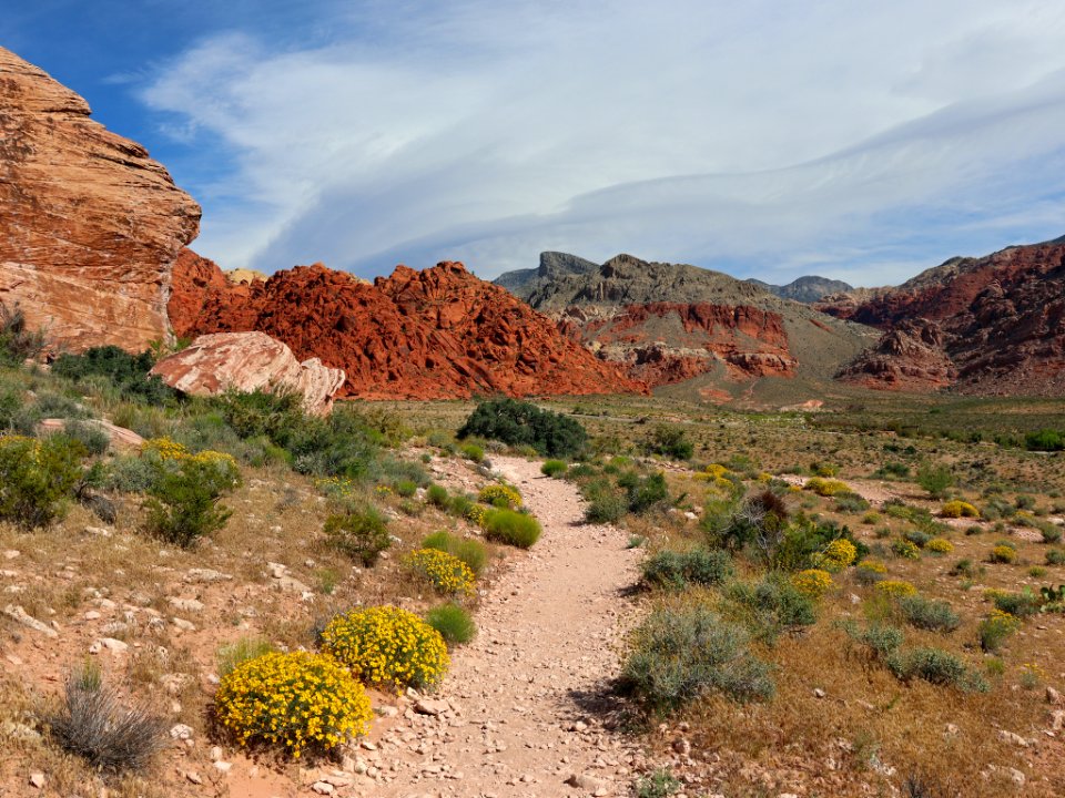 Red Rock Canyon in NV
