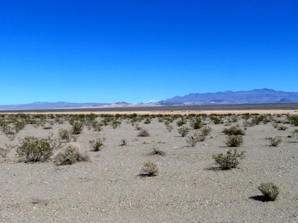 Death Valley NP in CA photo