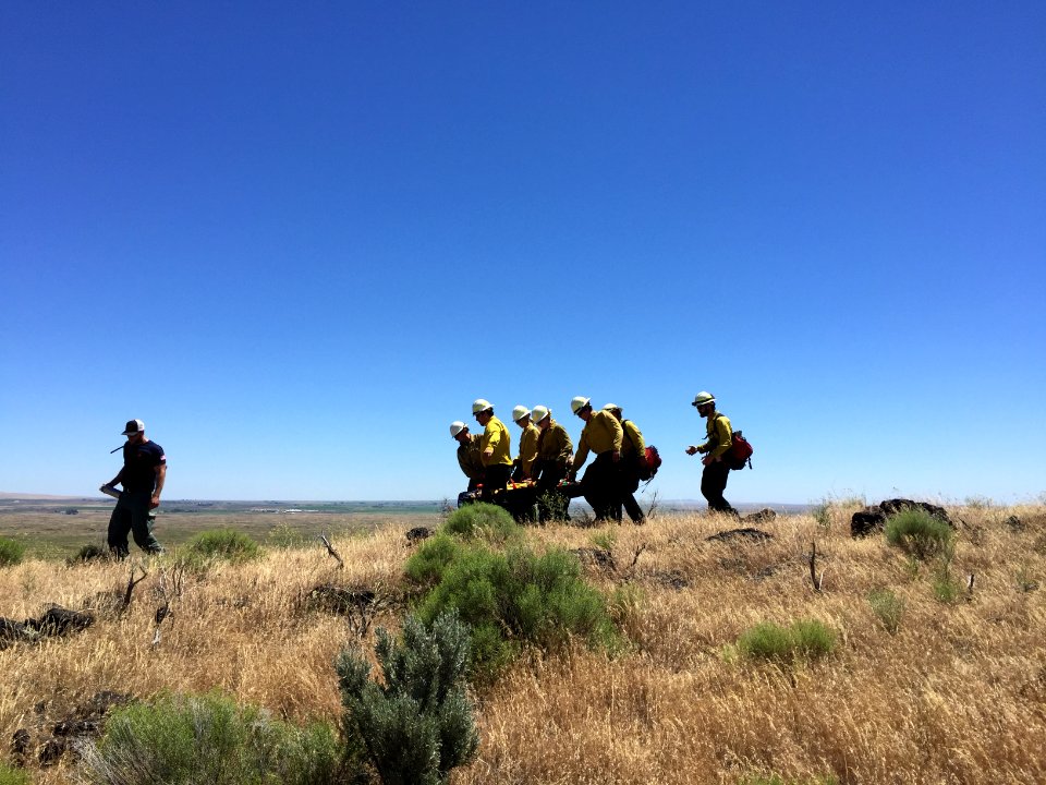 BLM Fire and Aviation Photo Contest 2020