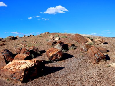 Petrified Forest NP in AZ photo