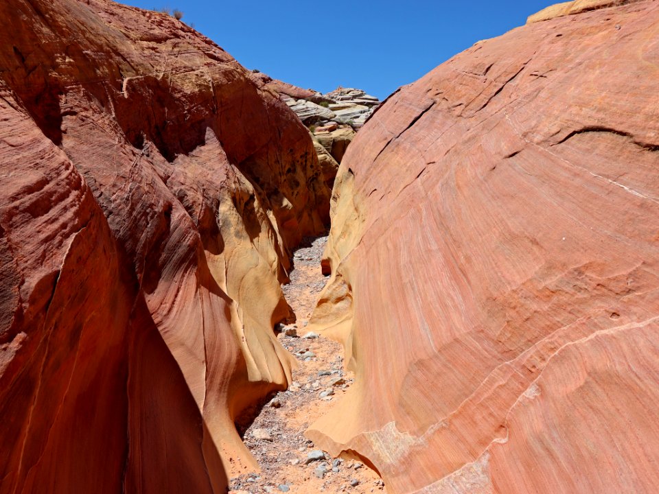 Pink Canyon at Valley Of Fire SP in NV photo