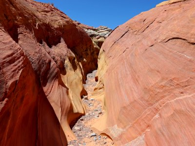 Pink Canyon at Valley Of Fire SP in NV