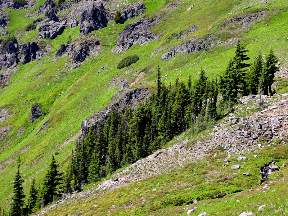 Goat Rocks Wilderness in WA