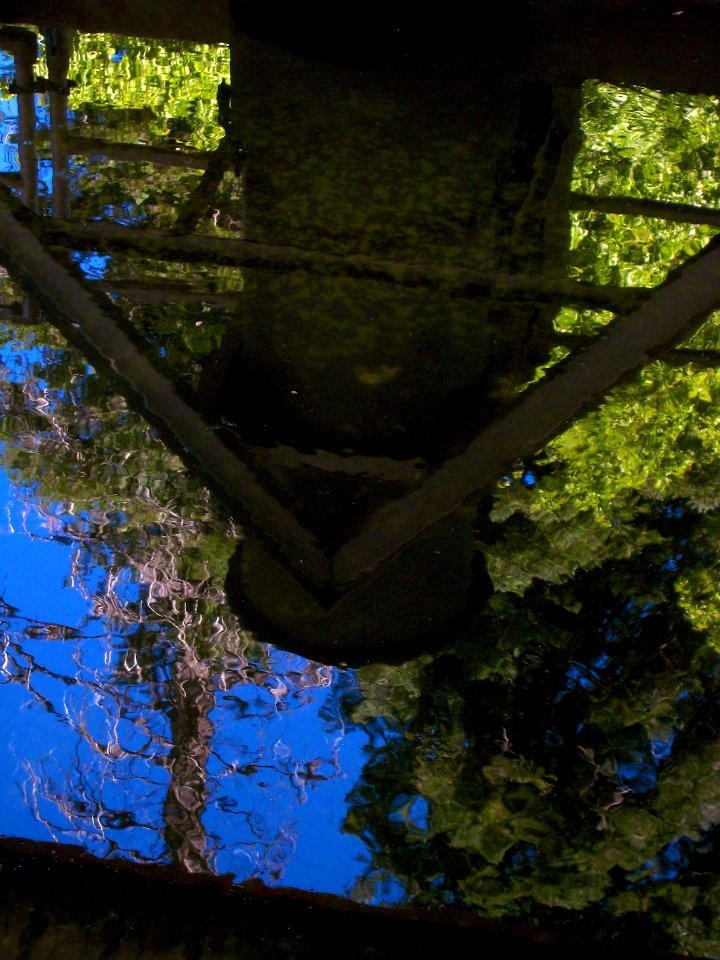 Upside Down World