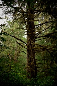 20180822-NRCS-LSC-1202