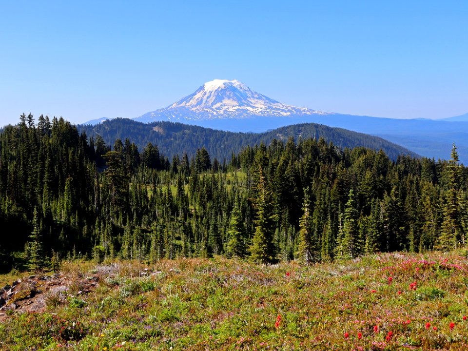 Goat Rocks Wilderness in WA