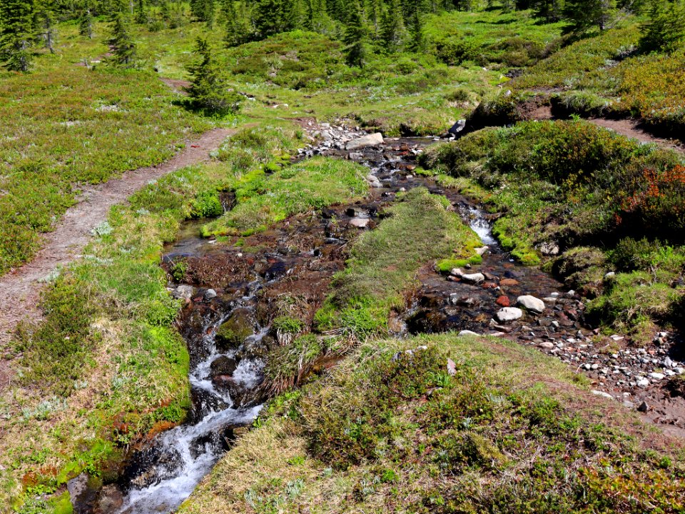 Goat Rocks Wilderness in WA