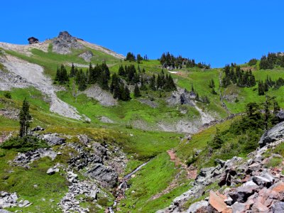 Goat Rocks Wilderness in WA