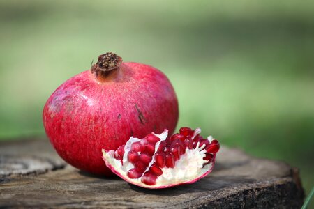 Pomegranate fruit plant