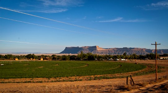 Green River Melon Fields