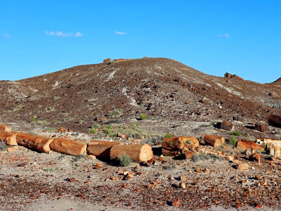 Petrified Forest NP in AZ