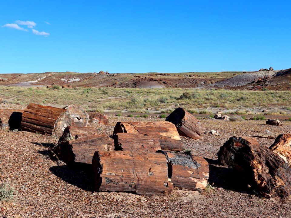 Petrified Forest NP in AZ