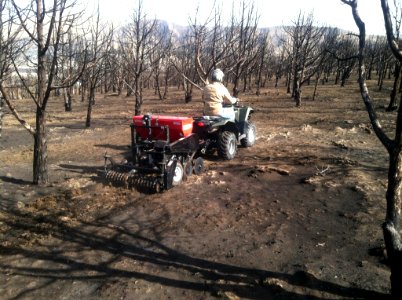 Seeding Project