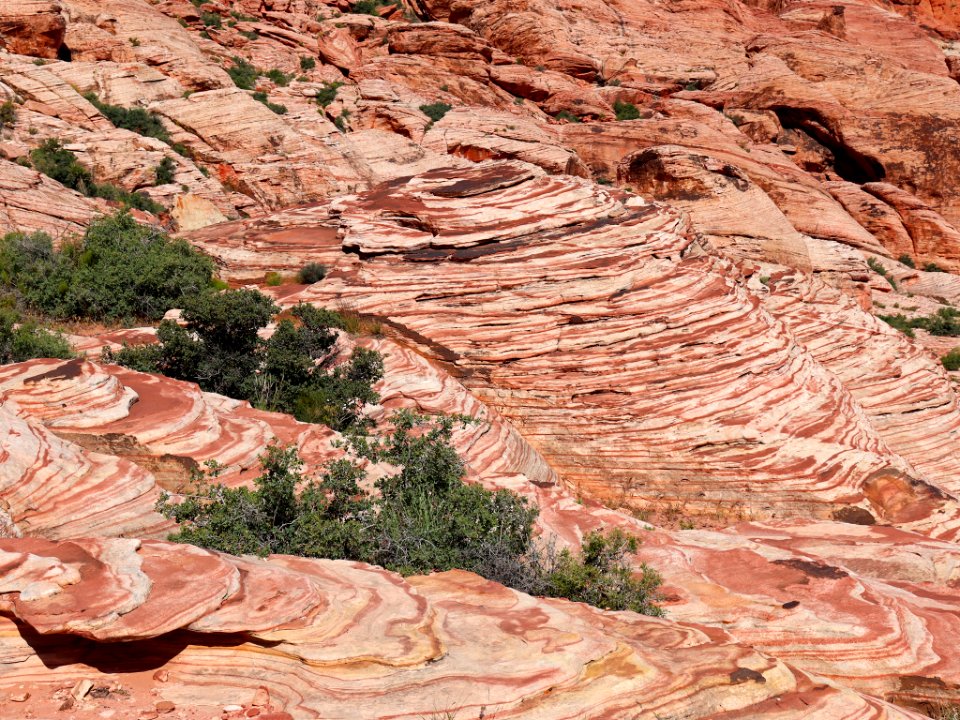 Red Rock Canyon in NV